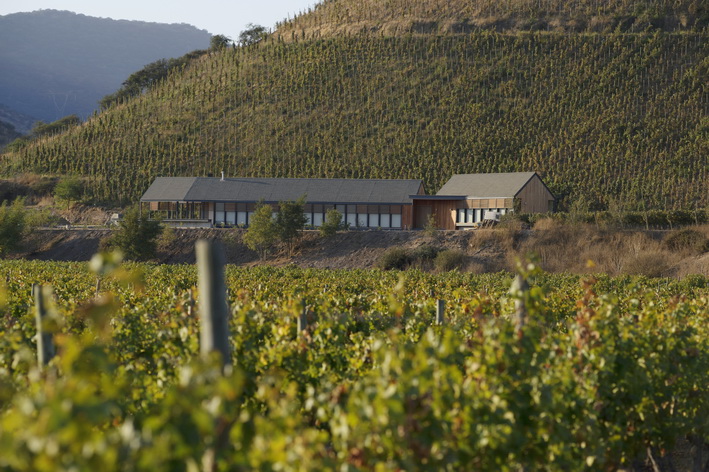 1.Quinta de Maipo House and vineyard_resize