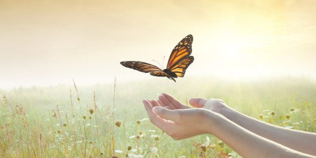 Girl releasing a butterfly
