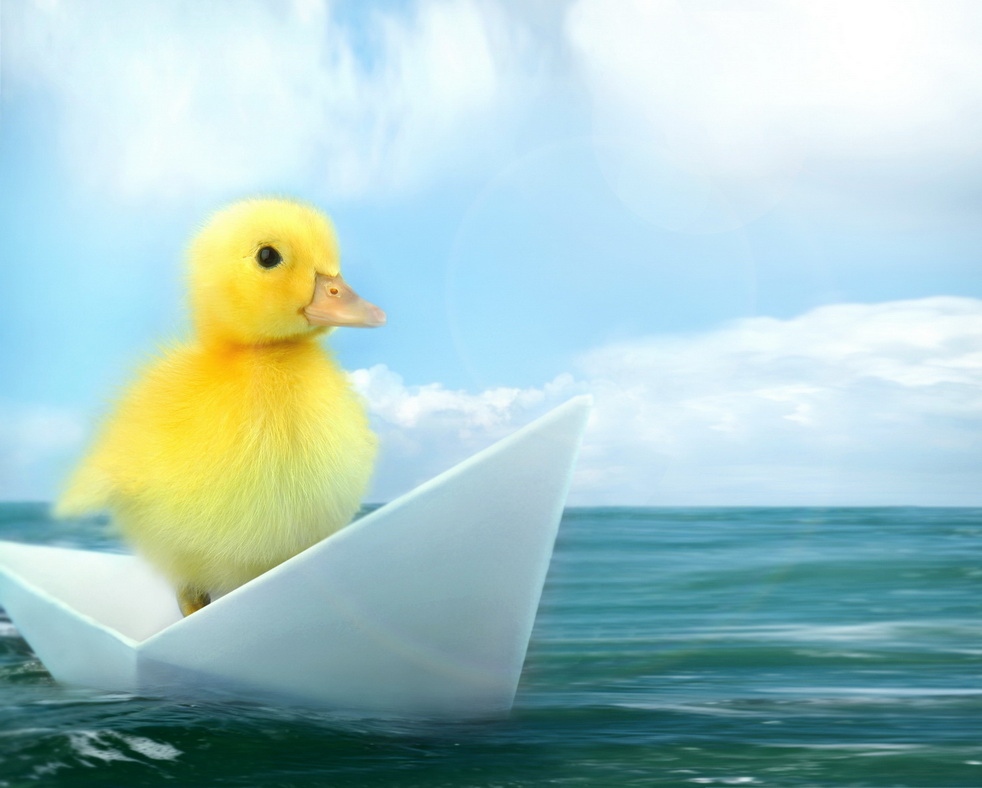 small duck travelling by origami paper boat floating in a sea