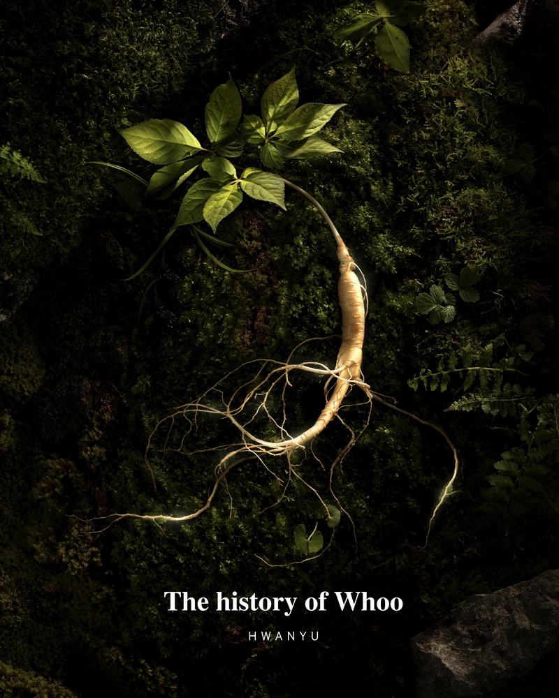 Nhân sâm núi trong kem dưỡng của The history of Whoo