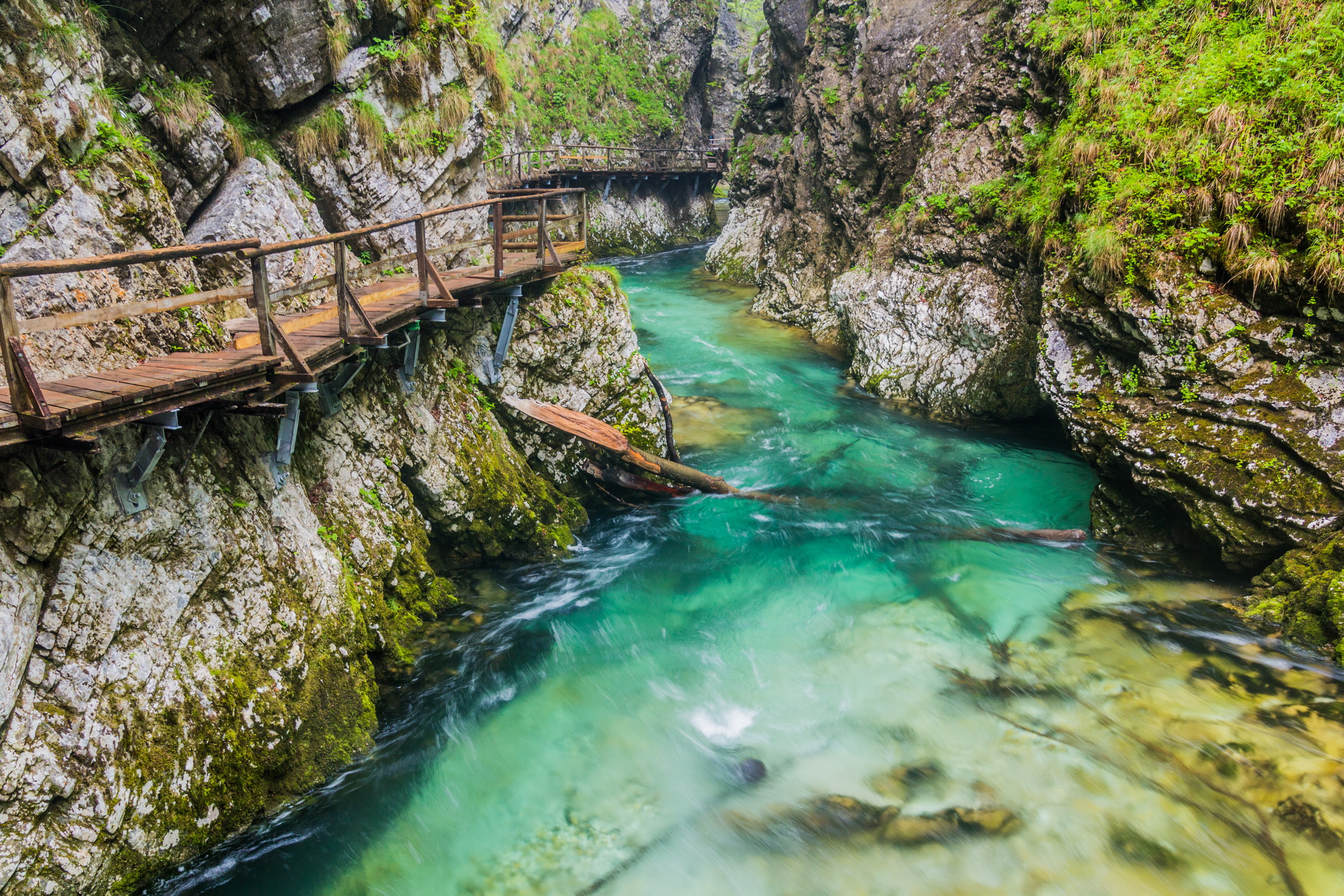 Hẻm núi Bled ở Slovenia 