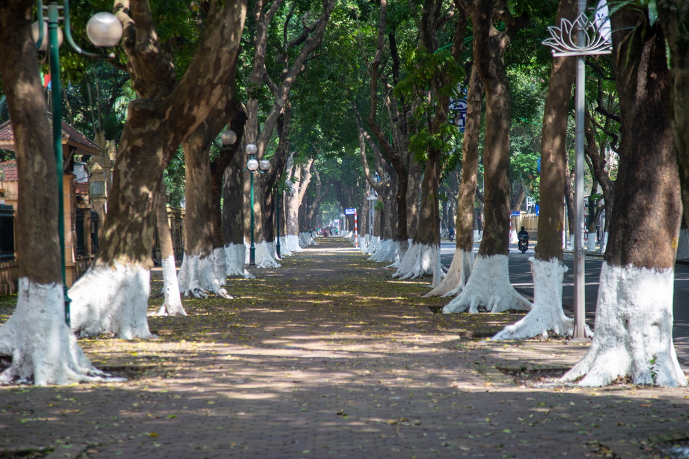 Mùa thiên nhiên chuyển sắc