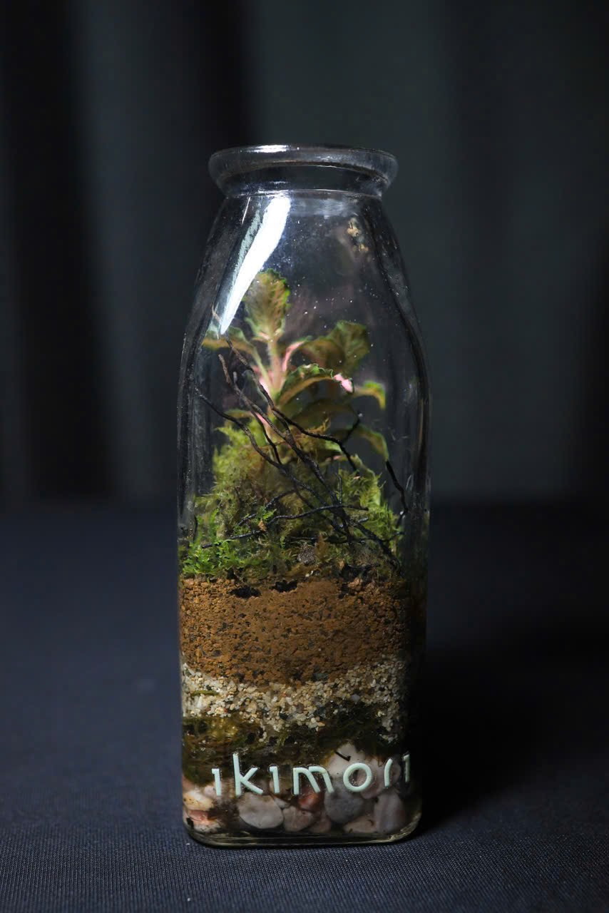 Do It Yourself: Terrarium đang chờ bạn tại workshop Inner Radience ngày 04/12