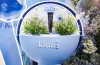 Dear, Klairs ra mắt “Kem xanh 10s” tại Việt Nam phục hồi làn da nhạy cảm
