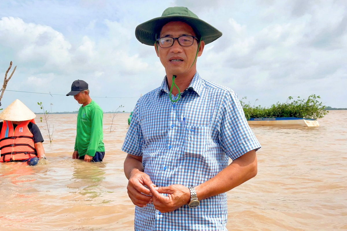 Phủ xanh cồn Hưng Long