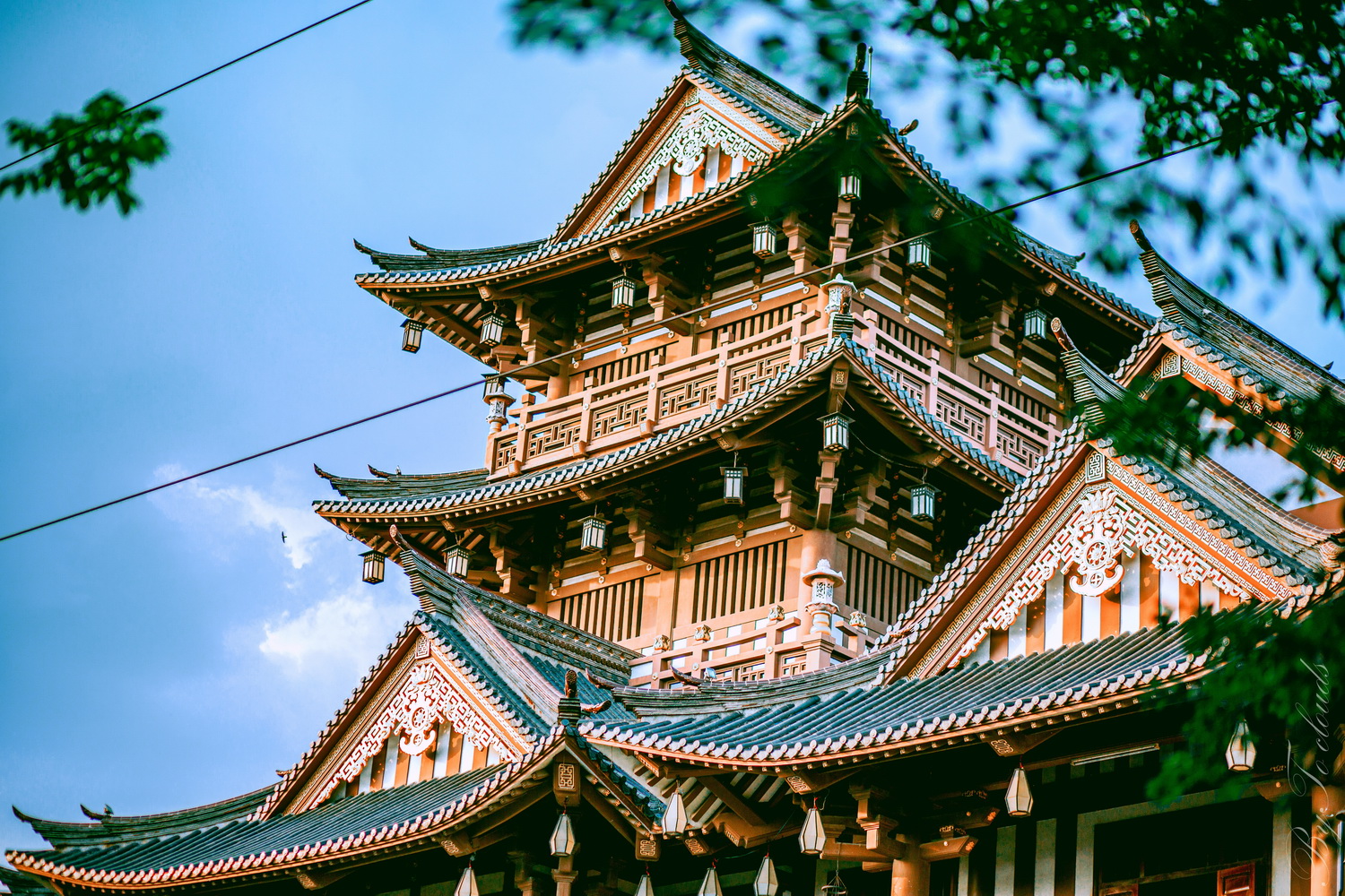 Tĩnh lặng giữa không gian xanh, mỗi khung hình đều thanh lịch và sâu lắng. 