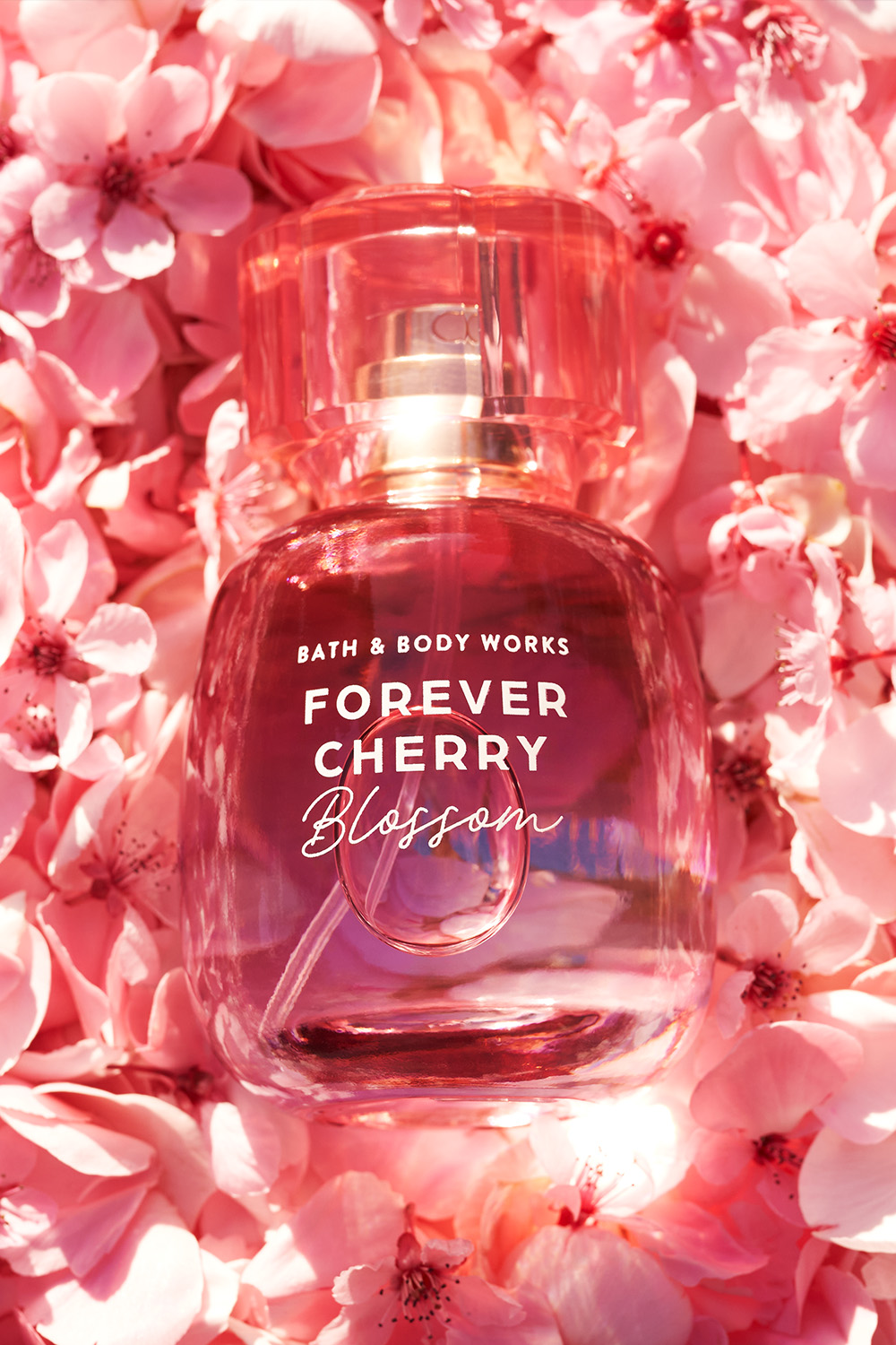 Bath & Body Works